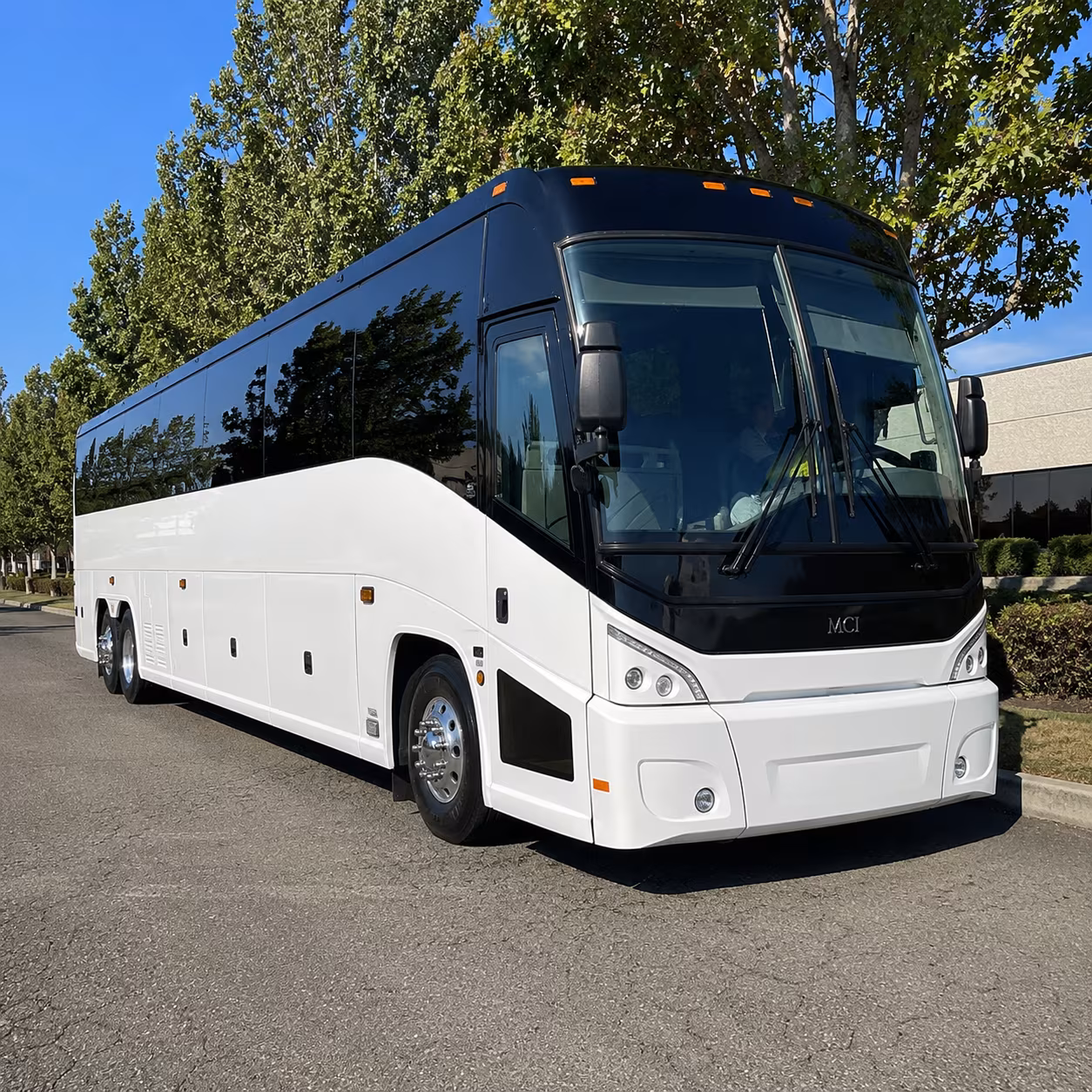 pearland 50 passenger charter bus
