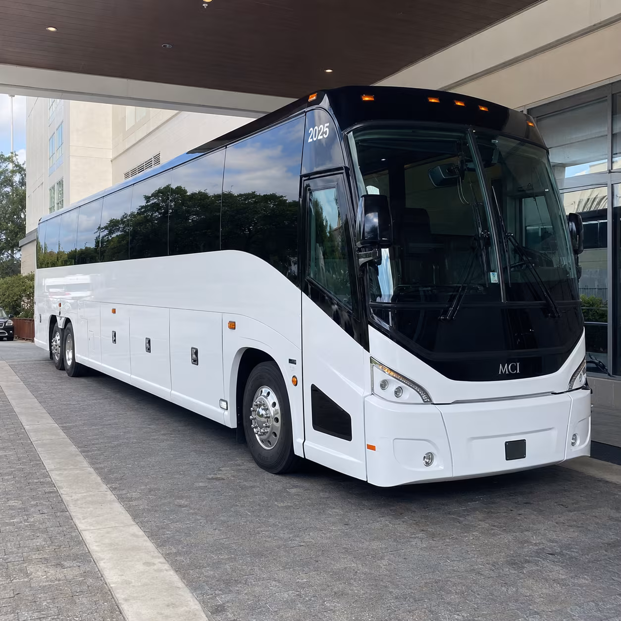 pearland 54 passenger charter bus