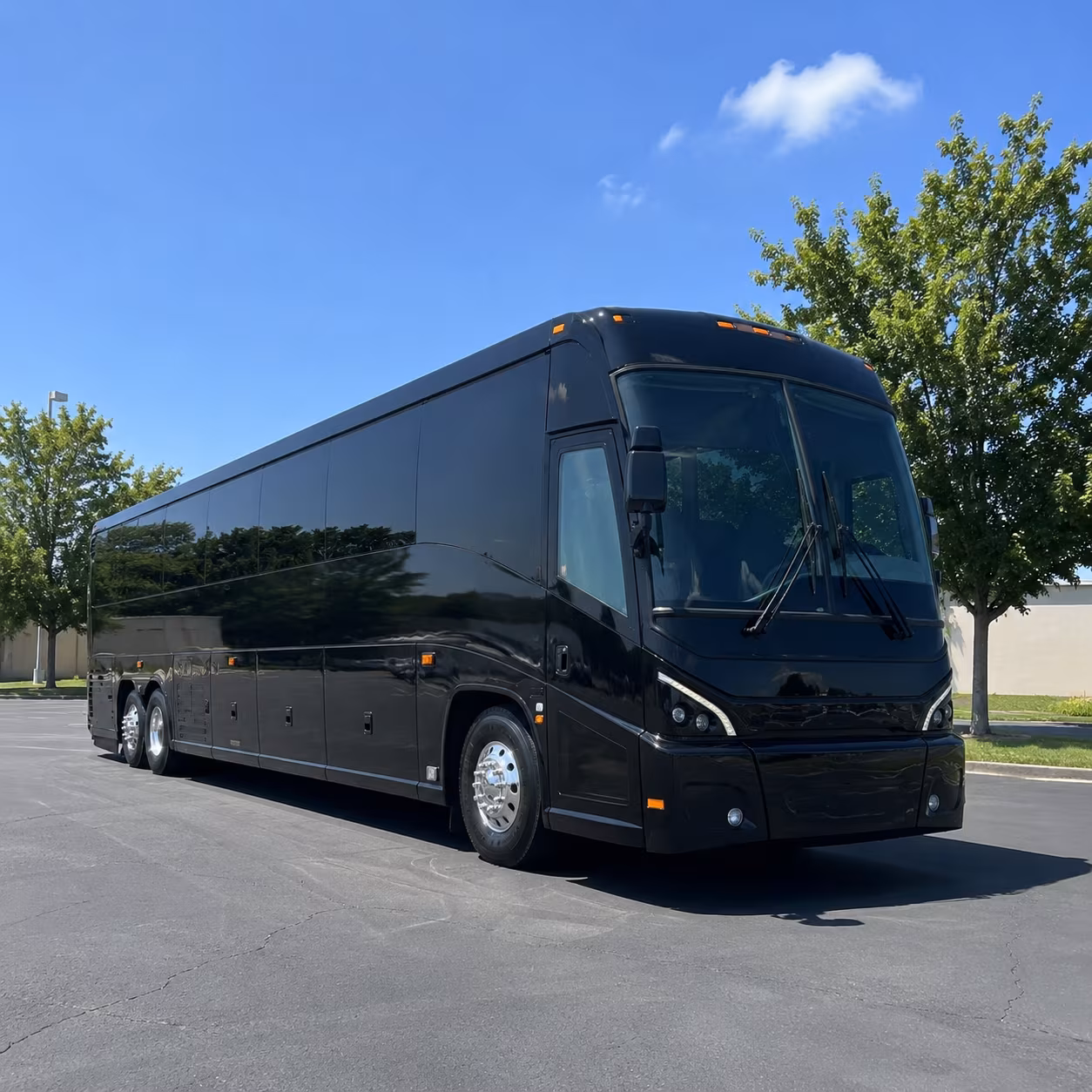 pearland 56 passenger charter bus