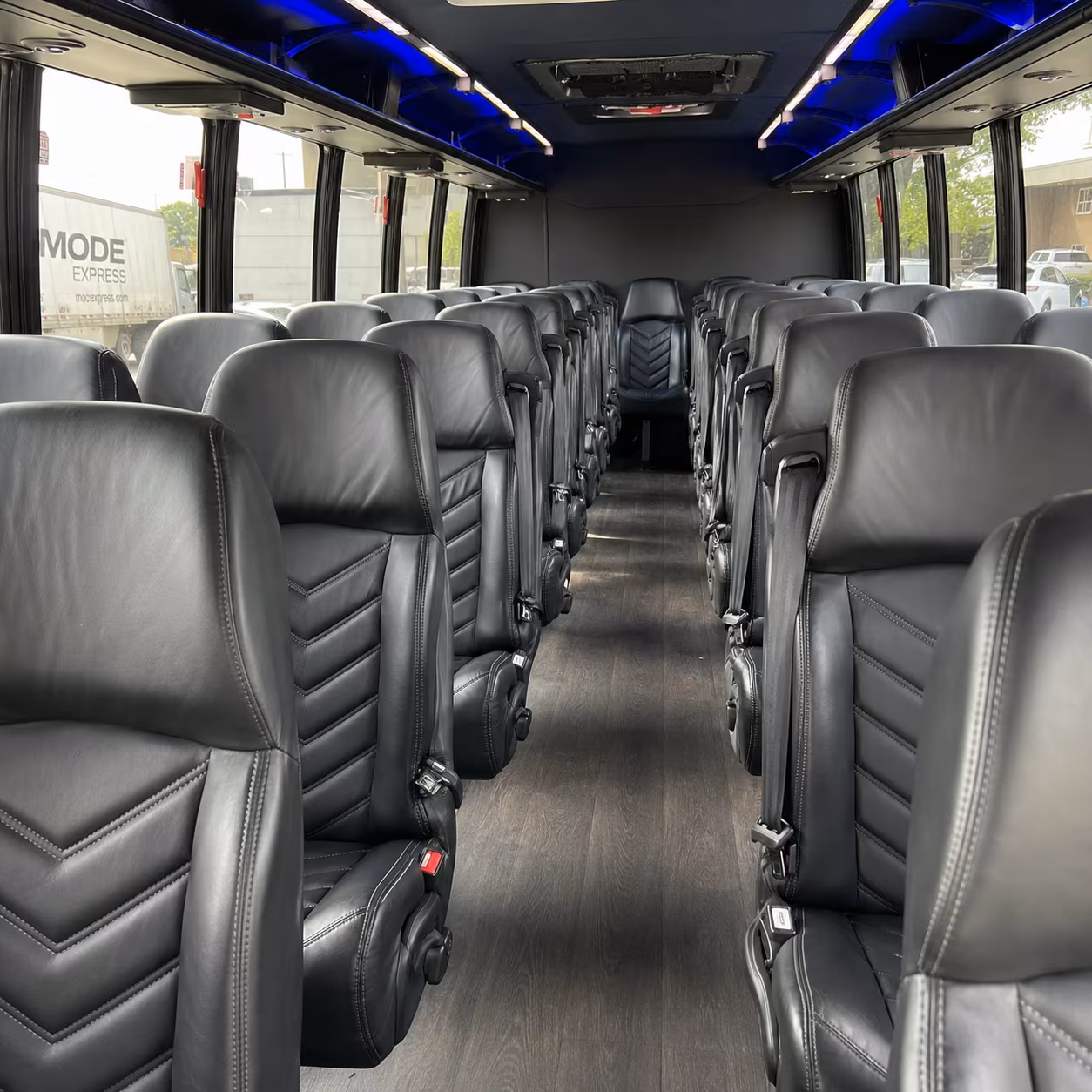 pearland birthday party transportation